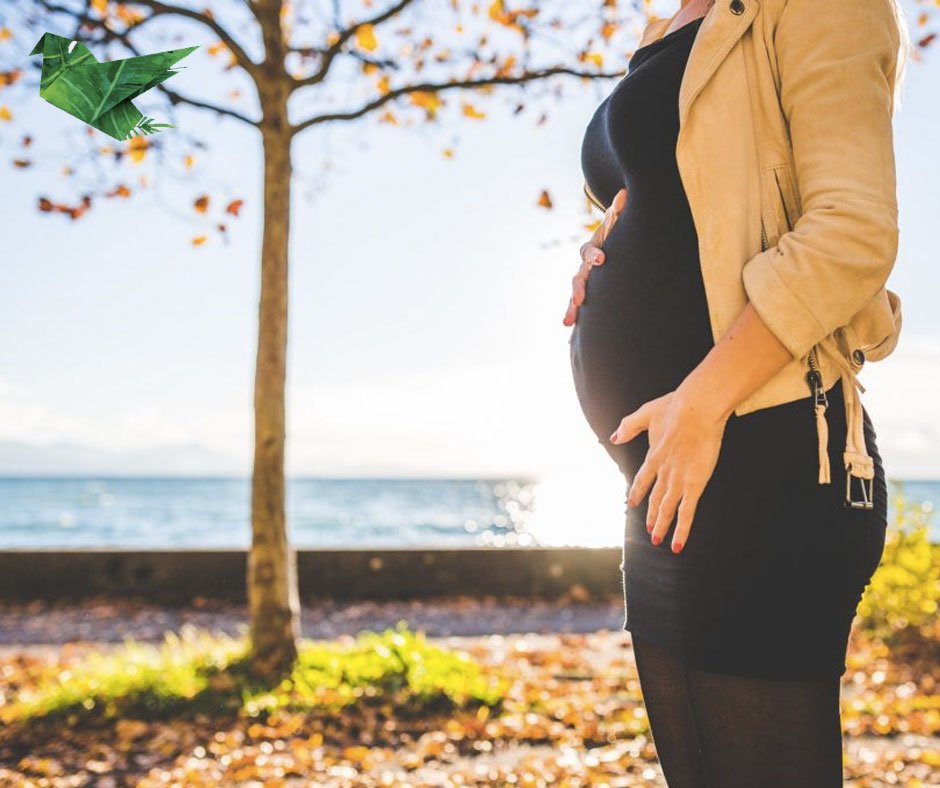 Comer-superalimentos-en-tu-embarazo-y-mientras-alimentas-a-tu-bebe-es-seguro